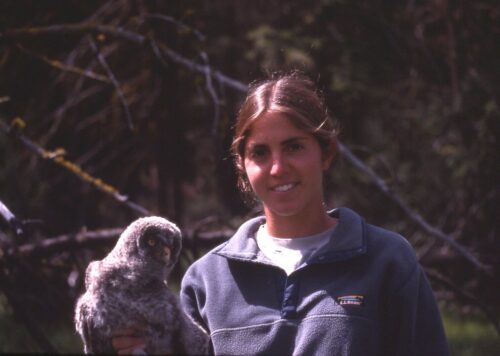 a person holds a bird