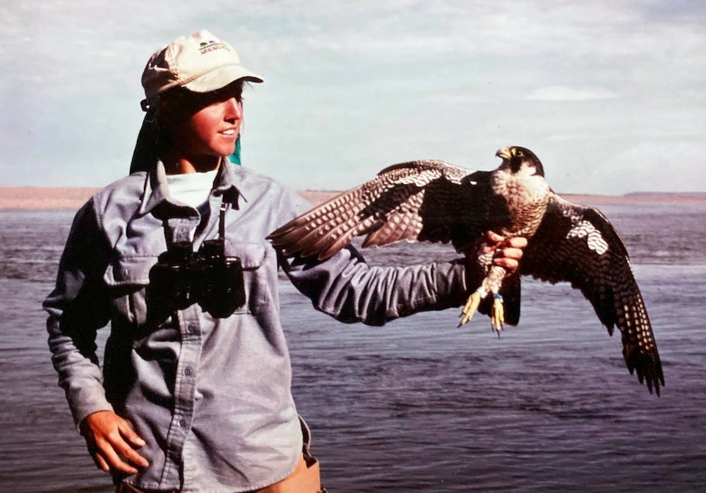 woman holds peregrine falcon in left hand