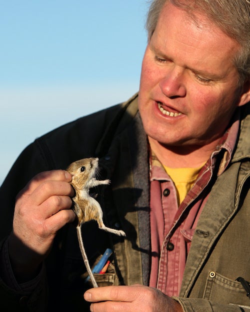 Man hold a small rodent