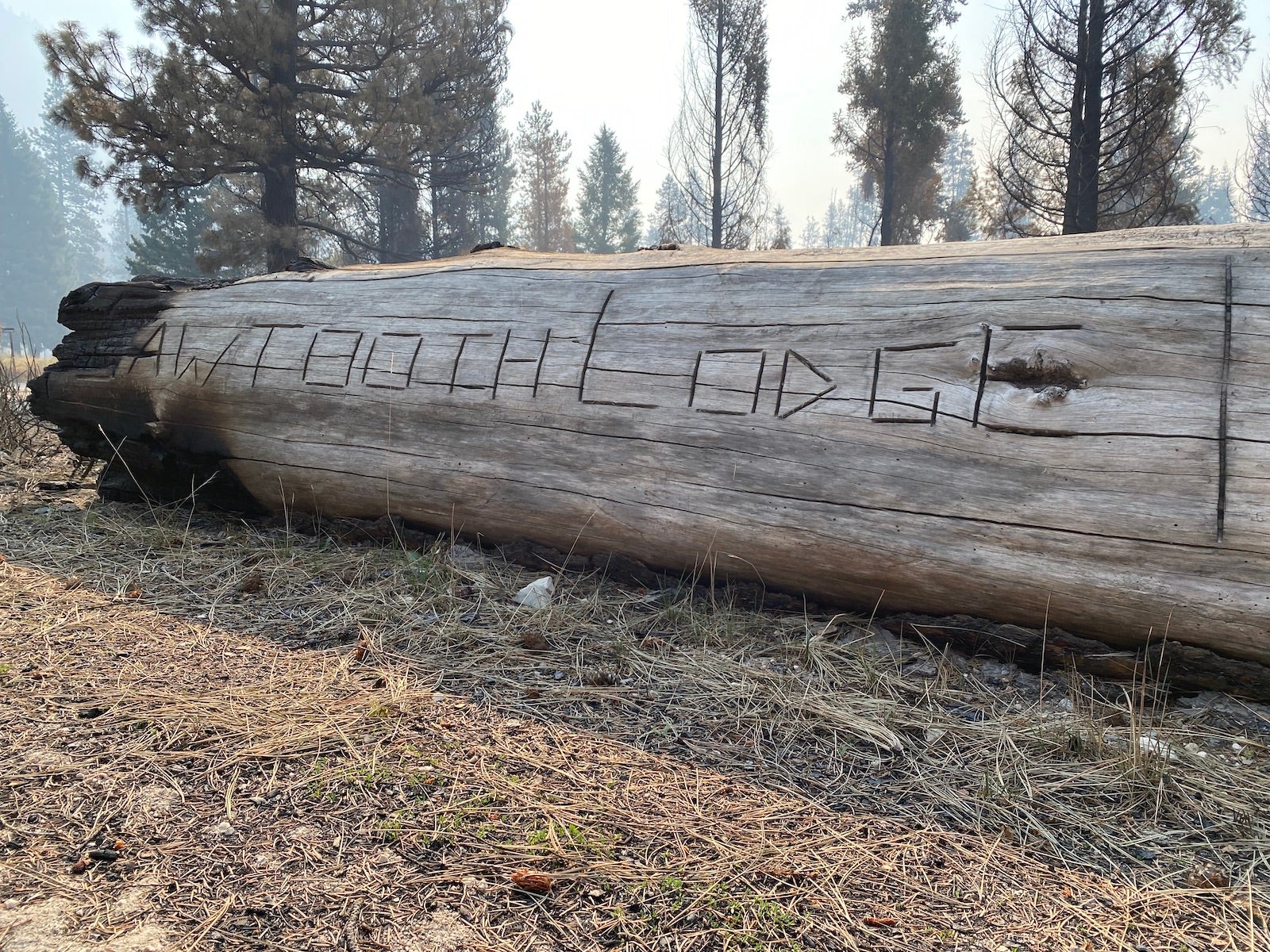 a long timber lays on the ground. It reads "Sawtooth Lodge." One end has been burned, taking away the "S" in Sawtooth.