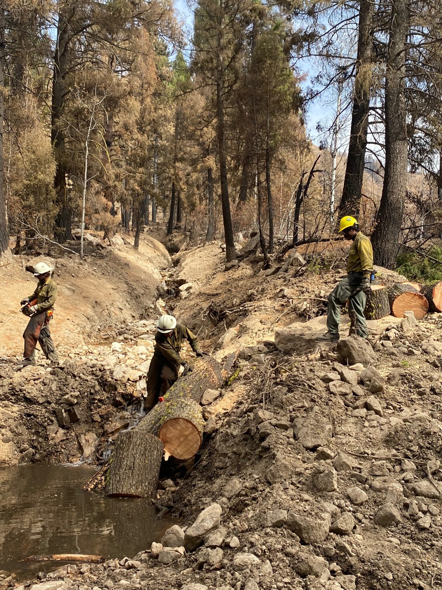 three very dusty, ashy people work in ashy creek bed with fallen log