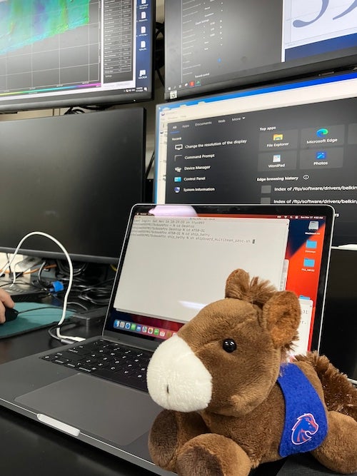 small stuffed animal bronco sits beside laptop in room filled with wall monitors