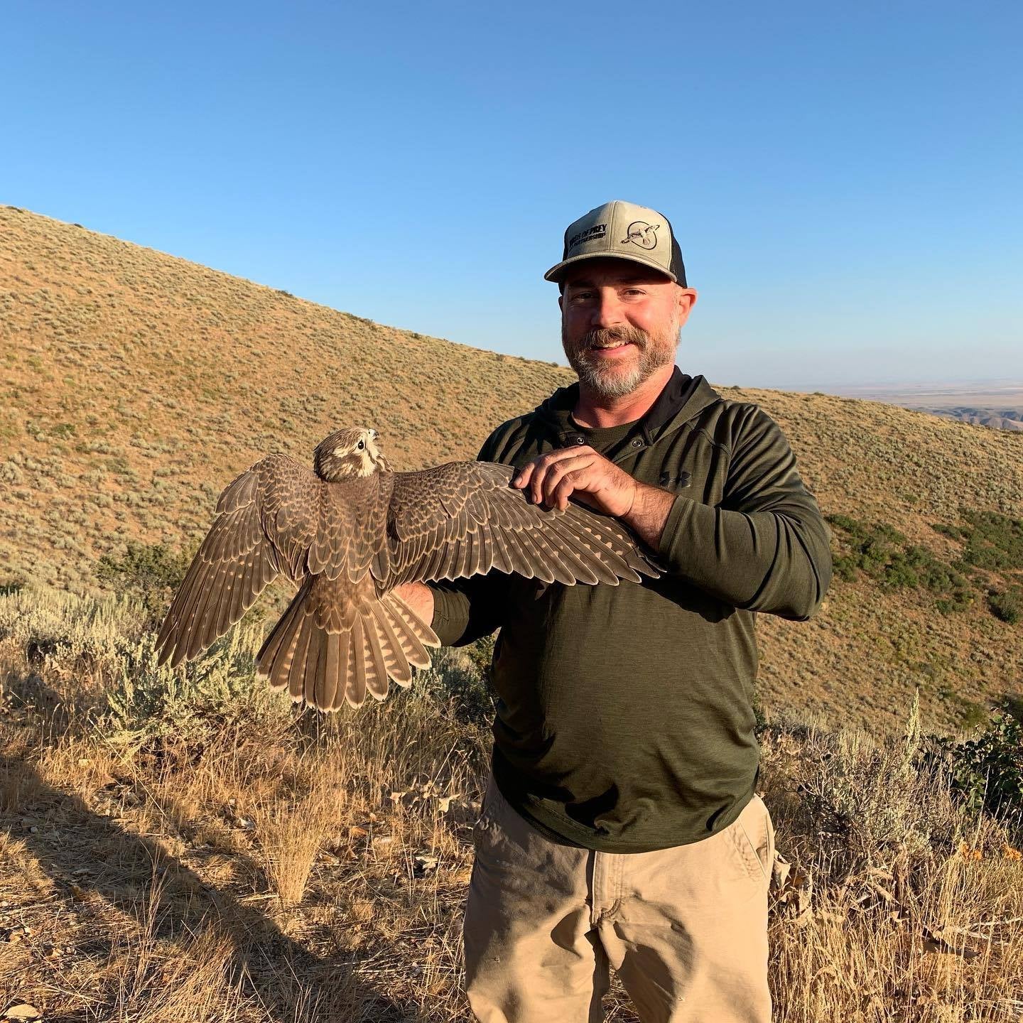 Steve Alsup holding a Prairie Falcon at Lucky Peak, Idaho