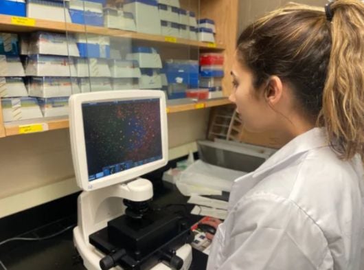 Student in white lab coat looks at imaging data in neuroscience lab