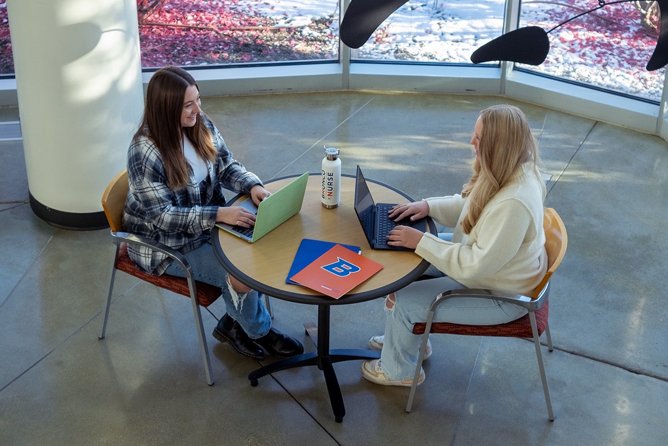 Two women work on laptops together at a table.