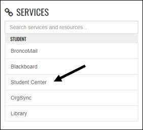 screenshot of services menu