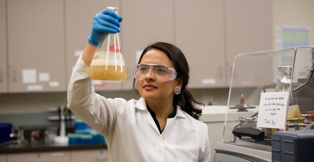 Chemist looking at liquid filled tube