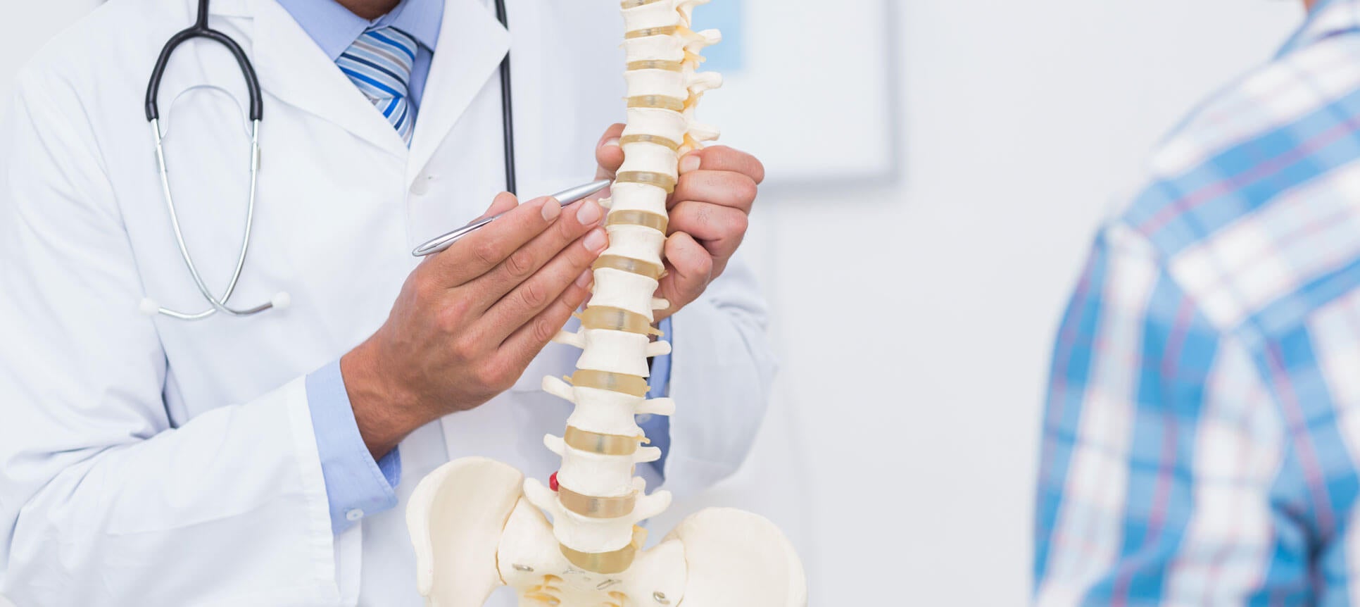 chiropractor explaining the human spine to patient