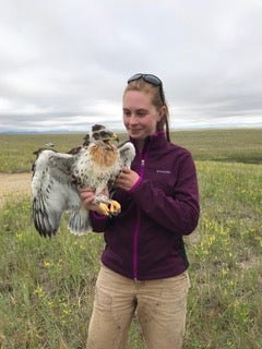 Ariana Dickson with Ferruginous Hawk Nestling in SE Wyoming