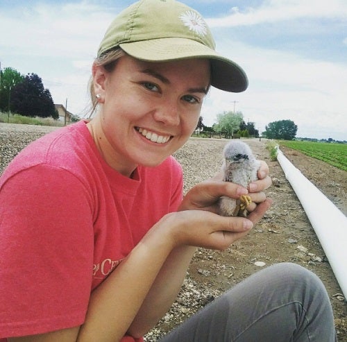 Sadie Ranck holding American Kestrel chick
