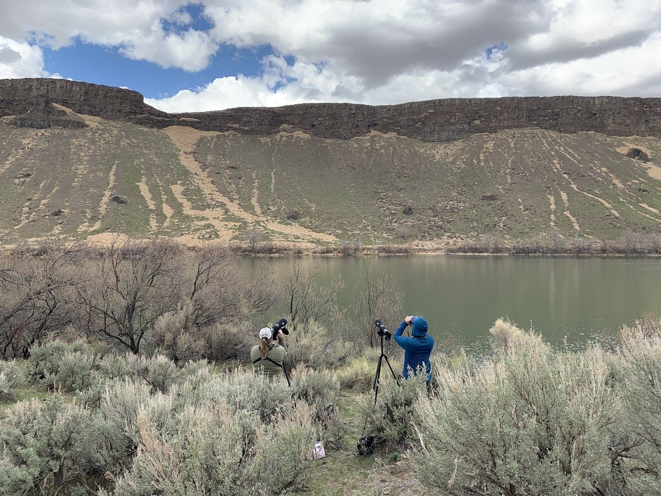Raptor biologists monitoring Prairie Falcon territory by the Snake River