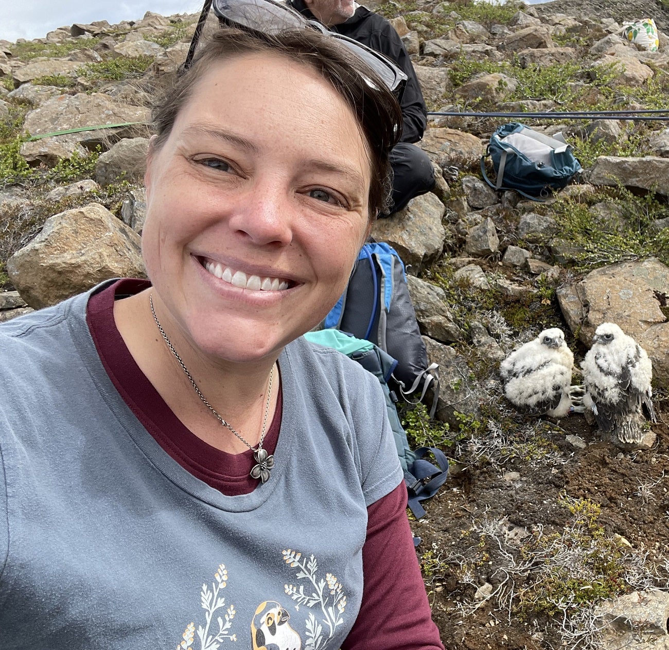 Stephanie Galla with Gyrfalcon nestlings on a rocky slope