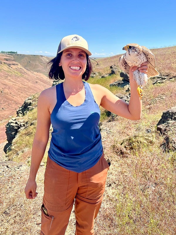 Dr. Jen Cruz holding a Prairie Falcon in the field