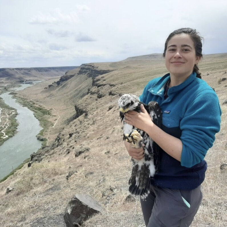 Ashley holding a Golden Eagle nestling on the rim of a canyon
