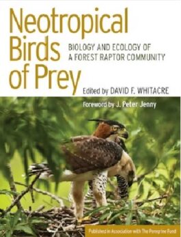 Book cover art for Neotropical Birds of Prey book