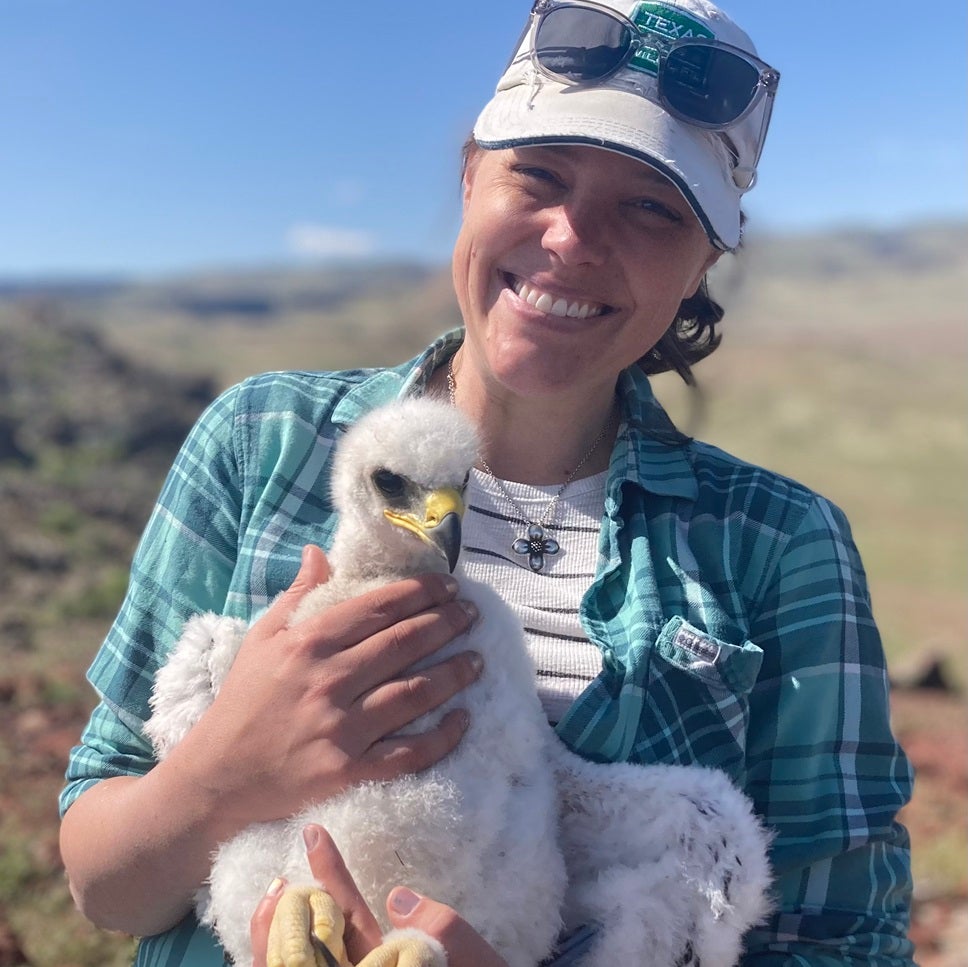 RRC faculty Stephanie Galla holding a gyrfalcon nestling in the field