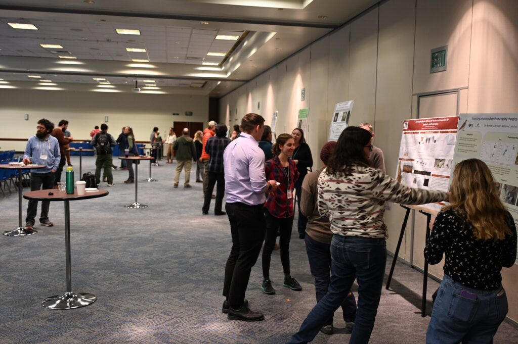 2024 NCA Symposium attendees mingling around posters while speaking with presenters, drinking, and eating refreshments.