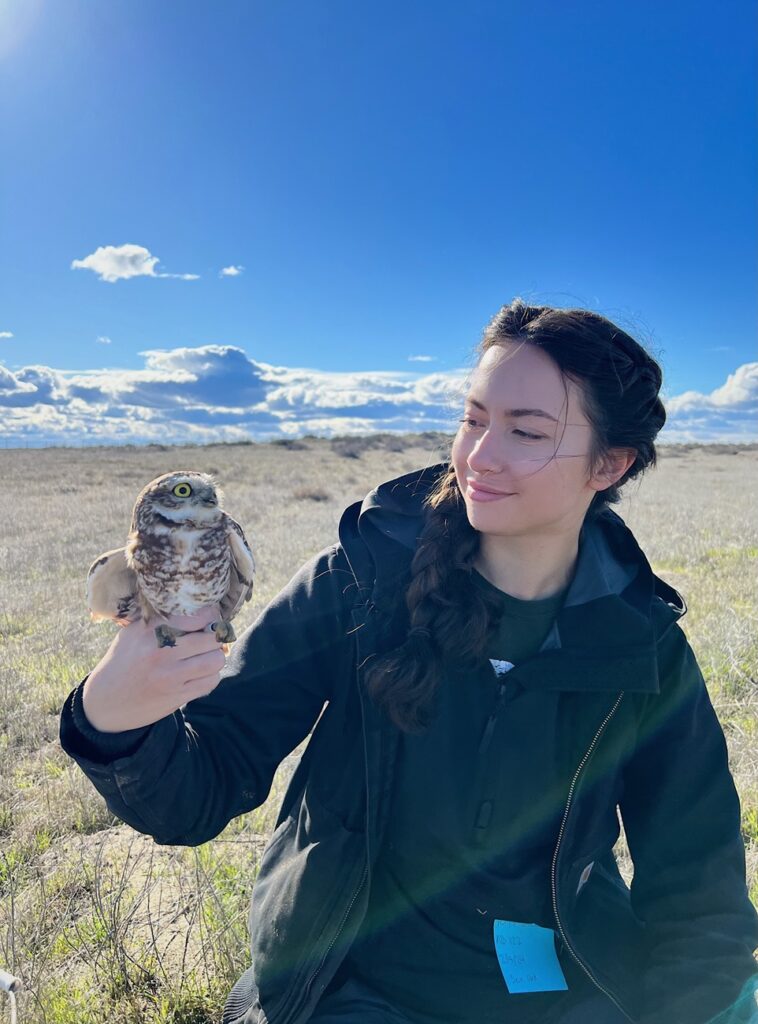 Solai Le Fay holding an adult burrowing owl on flat lands