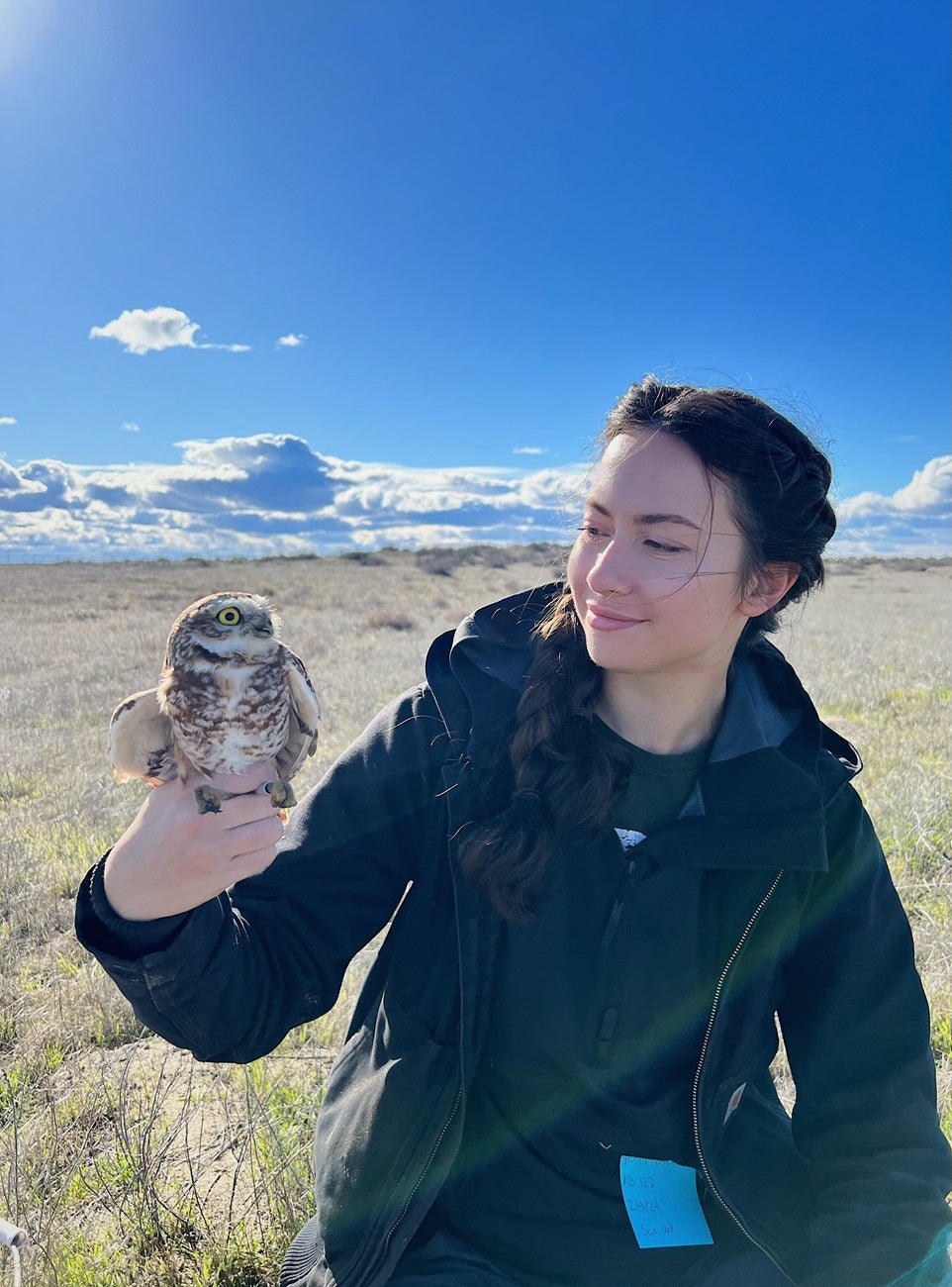 Solai Le Fay holding an adult burrowing owl on flat lands