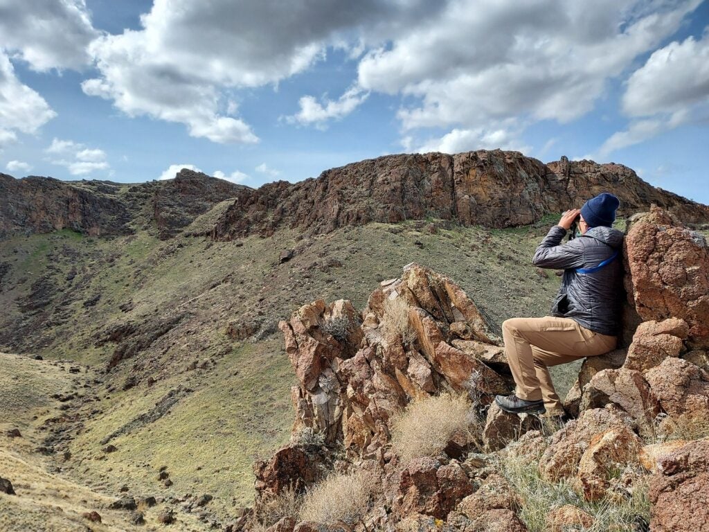 Kevin Myers surveying a canyon with binoculars, searching for raptors