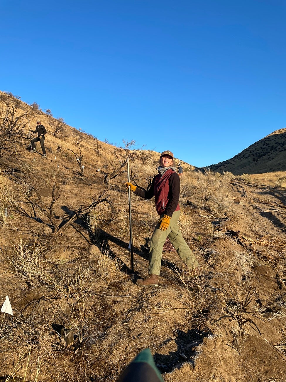 Elle Horwath smiling while hiking up a hill doing fieldwork