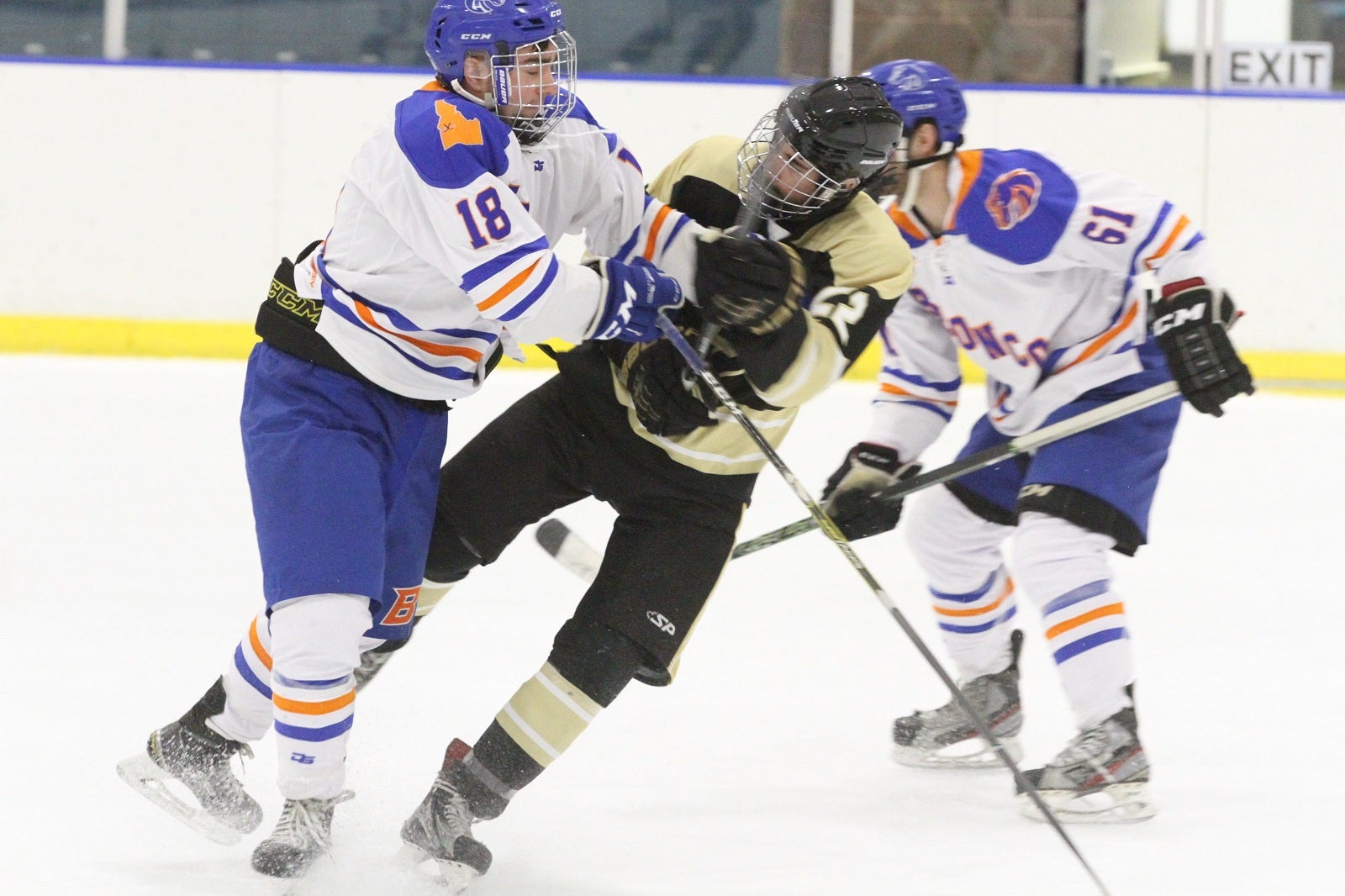 Men's Hockey Game