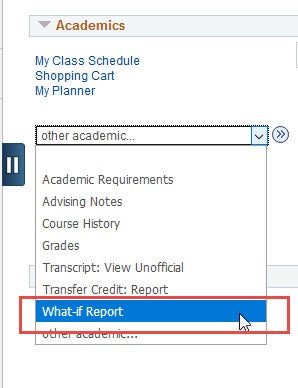 example of dropdown to find what-if repot