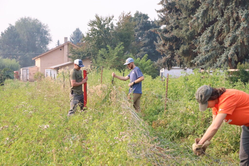 students building fences