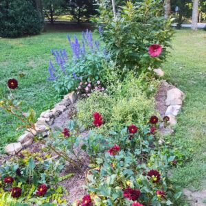 A  flower garden surrounded by stones.