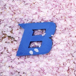 boise state b logo laying in cherry blossom petals