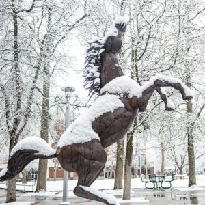 Bronco statue covered with snow