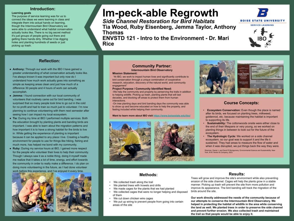 Image of student poster. Continue below for accessible text and full content.