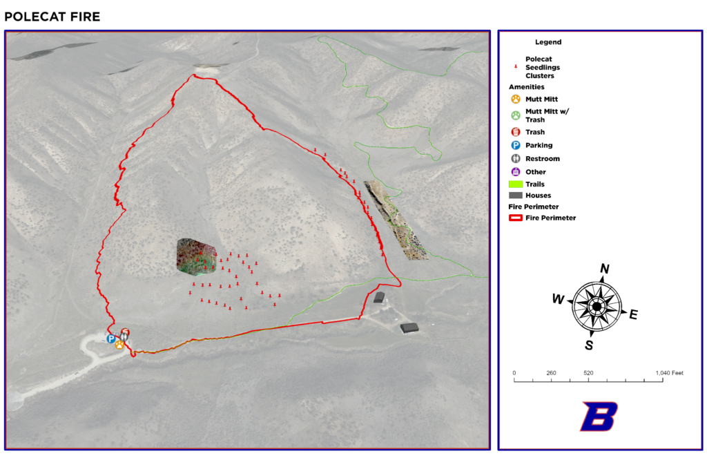 Map showing the boundaries of the polecat fire.