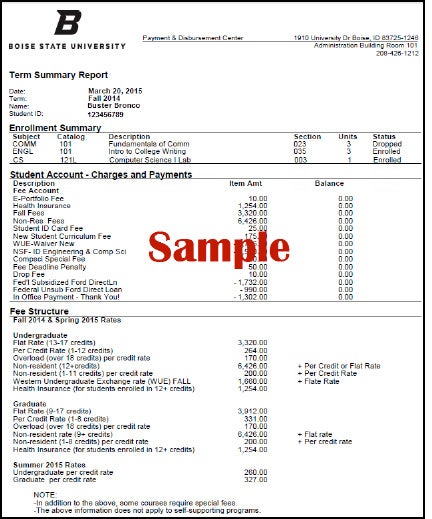 Term Summary Report pdf