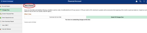 Financial Account Screenshot