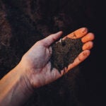 Hand and dirt