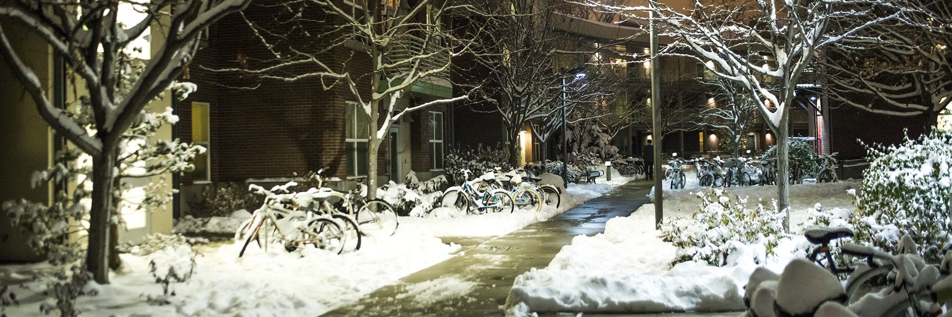 Wintery scene on campus