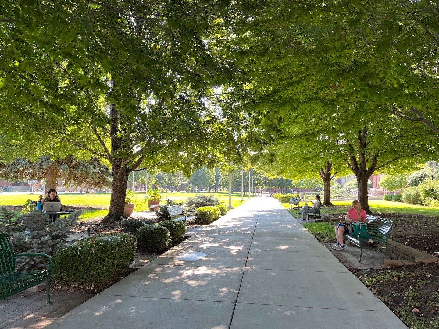 A path through the Boise State Quad with trees on either side.