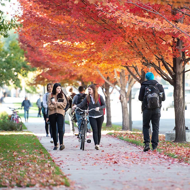 Two students walking through the Boise State campus with fall trees surrounding them.