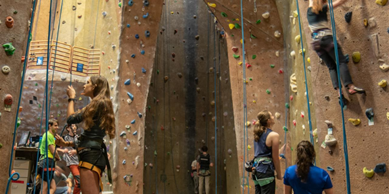 students climbing in the rock gym at campus rec