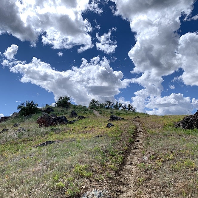 View from a trail in the Boise Foothills