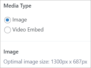 Media Type displaying optimal image size withing the application.