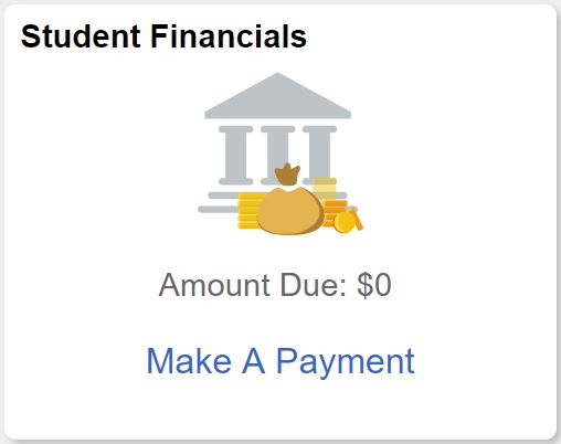 screenshot of student financials tile
